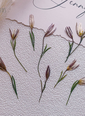 迷你百合押花diy手机壳滴胶