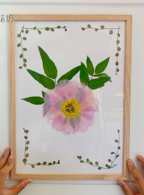 芍药标本花瓣油画风压手工diy