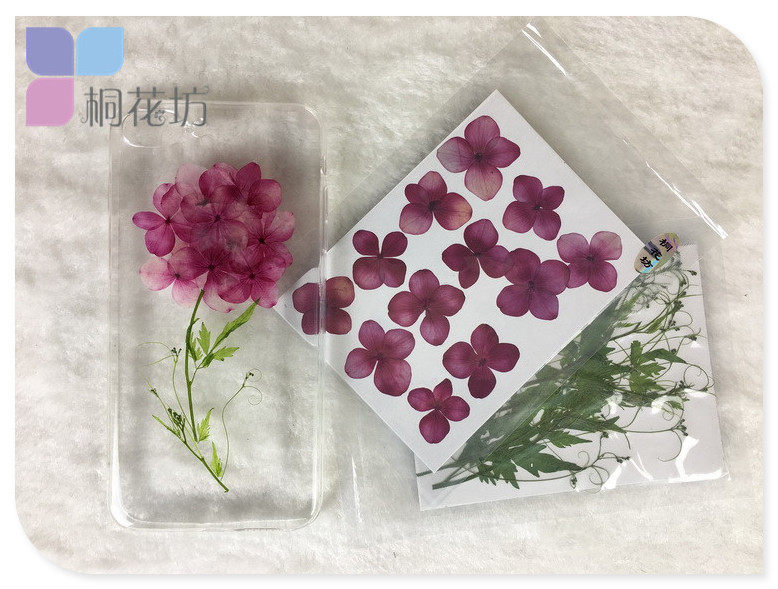 绣球滴胶ganhua干花手机壳diy押花压花壓花材料植物标本书签花材_虎窝淘
