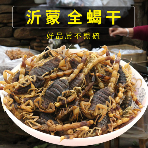 沂蒙山十足蝎子干清水蝎子干全虫蝎子全蝎干50克包邮冷冻保存 - 图0