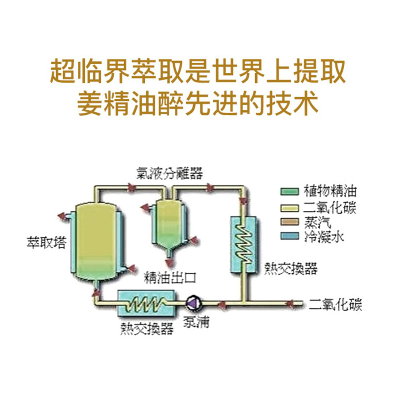 铝瓶装甘肃岷县超临界当归精油圆叶驱寒暖宫调理气色按摩护肤淡般-图1