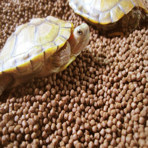 小乌龟饲料通用补钙龟粮活体幼龟开口粮巴西龟小虾米小颗粒型虾干 - 图2