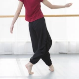 Бархатные современные классические этнические штаны, оверсайз, этнический стиль