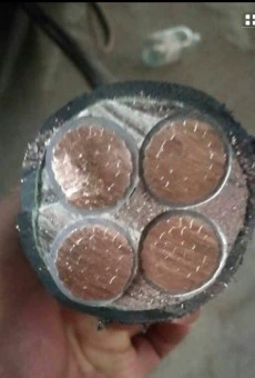 Национальный стандартный медный ядро ​​трех -пятого ядра YJV2 3 4 5 Core 10 16 25 35 квадратный кабельный кабельный кабель медь