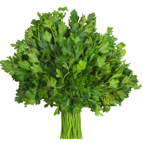 耐热香菜籽种农家小叶香菜种子盆栽蔬菜种籽夏播阳台芫荽菜种籽孑 - 图3