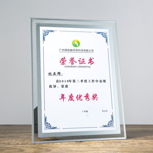 A4水晶奖杯奖牌聘书定制荣誉证书定做制作奖牌奖状金箔牌匾可打印 - 图2