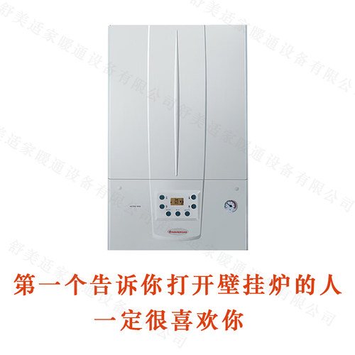 依玛IMMERGAS冠军赫拉壁挂炉天然气家用采暖热水两用以旧换新燃锅 - 图0