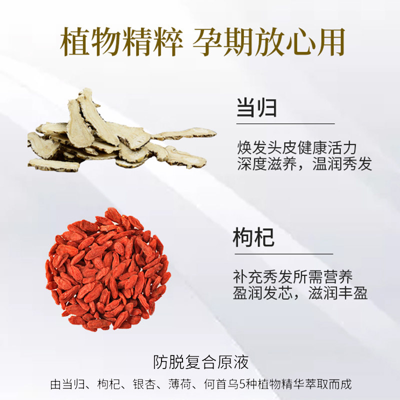 霸王女士防脱发控油孕妇生姜洗发露 霸王巨翼洗发水