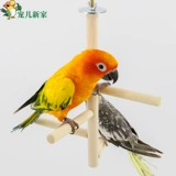 Пеппер деревянные попугай стойка