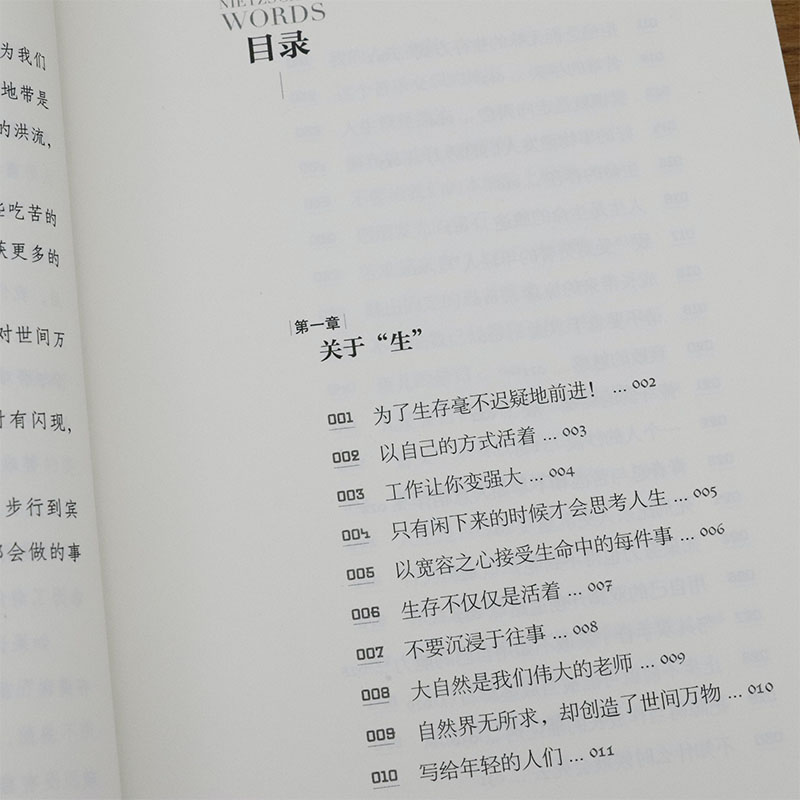 【选3本39元】尼采的心灵咒语 尼采哲学箴言语录在世纪的转折点上所谓高贵就是对自己心存敬畏 - 图1