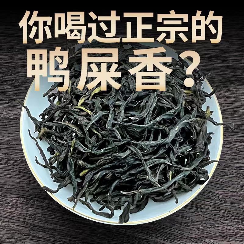 正宗鸭屎香凤凰单枞茶潮州凤凰单丛乌龙茶罐装茶叶礼盒罐装500g