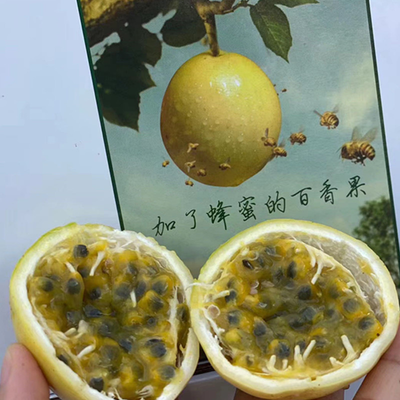 黄金黄皮孕妇新鲜夏季泡荼百香果图片_2