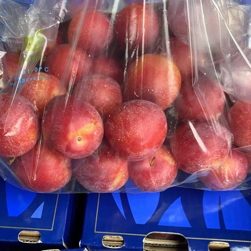 现货智利进口樱桃李纯甜新鲜时令水果大李子5J大果洋李子顺丰礼盒,淘宝优惠券,粉丝福利购,淘宝优惠卷