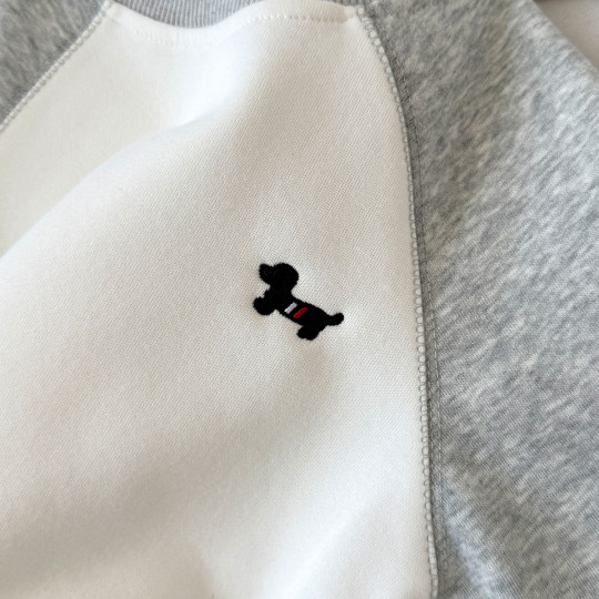 儿童卫衣卫裤两件套2025秋季新款中大男孩子洋气休闲套装