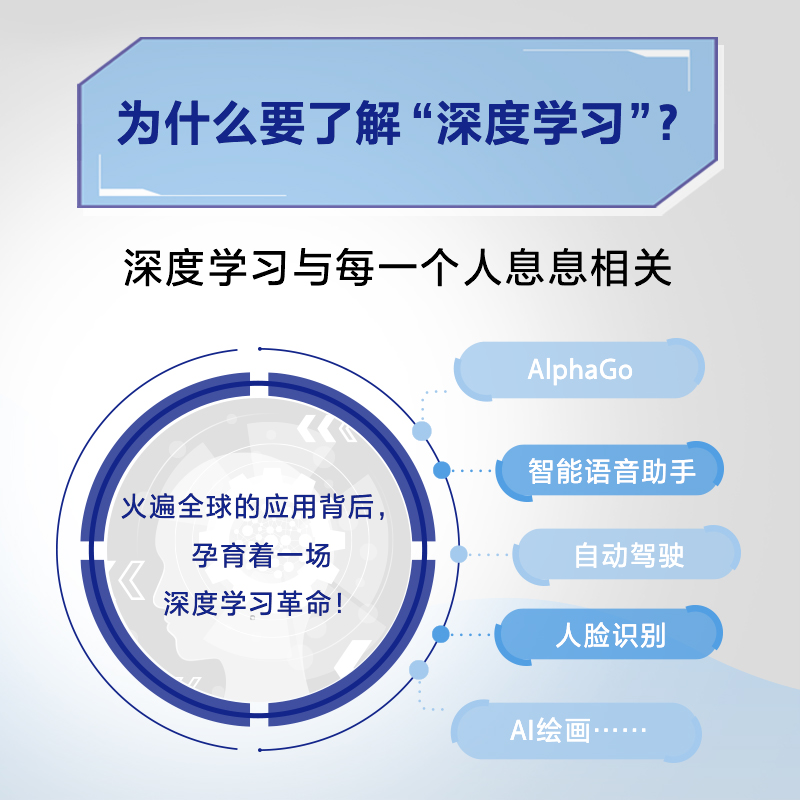 深度学习革命 从历史到未来 凯德梅茨著  9787521747553 中信出版社全新正版 - 图1