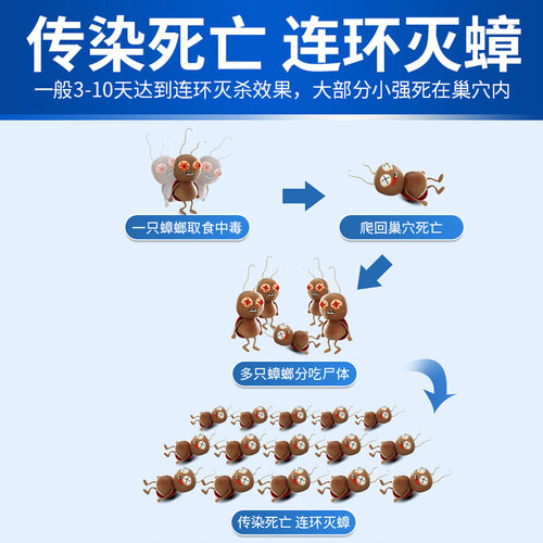 科凌虫控家用蟑螂药粉室内端餐厅全窝小强饵剂灭杀小强饭店非无毒 - 图1