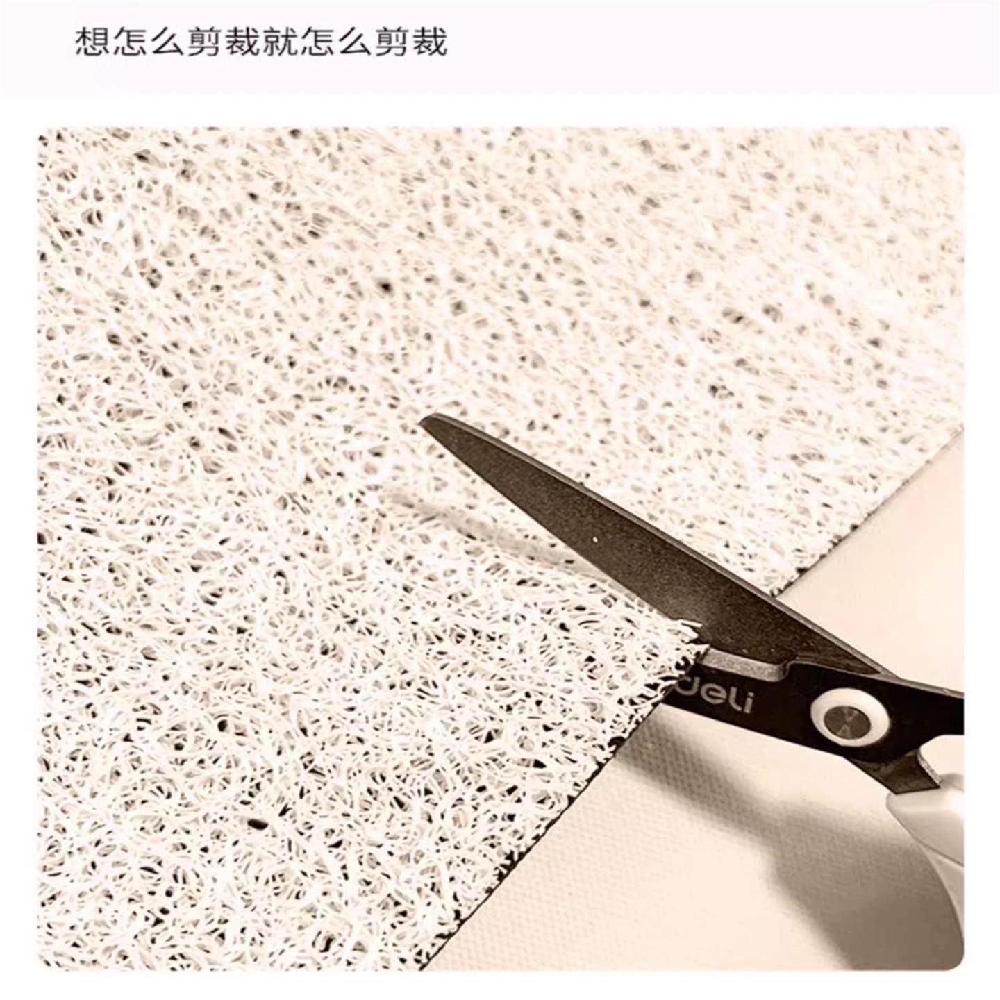 多巴胺入户门丝圈地垫家用耐磨防滑门垫进门大门口可定制天津地毯,淘宝优惠券,粉丝福利购,淘宝优惠卷