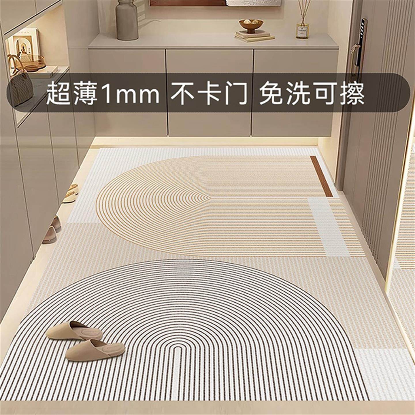超薄1mm入户门地垫现代简约进门门口不卡门门垫家用免洗可擦地毯,淘宝优惠券,粉丝福利购,淘宝优惠卷