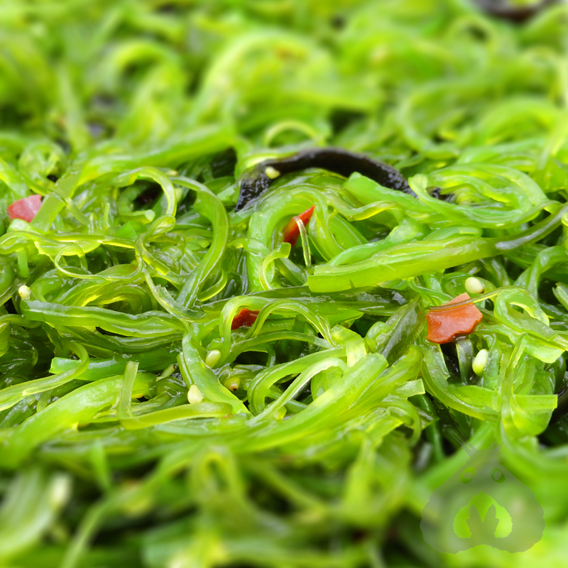 【搜鱼】裙带菜即食 海藻沙拉寿司料理海带丝中华海草 海白菜500g