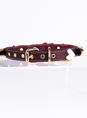 温感变色项圈铃铛轻便魅力sp项圈定制刻字女m