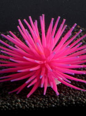 装饰用品仿真软体海胆造景