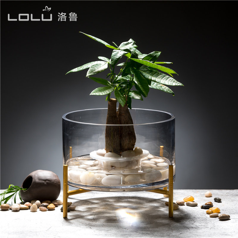水培植物玻璃花瓶圆形玻璃鱼缸富贵竹绿萝简约水培花盆创意鱼缸,淘宝优惠券,粉丝福利购,淘宝优惠卷