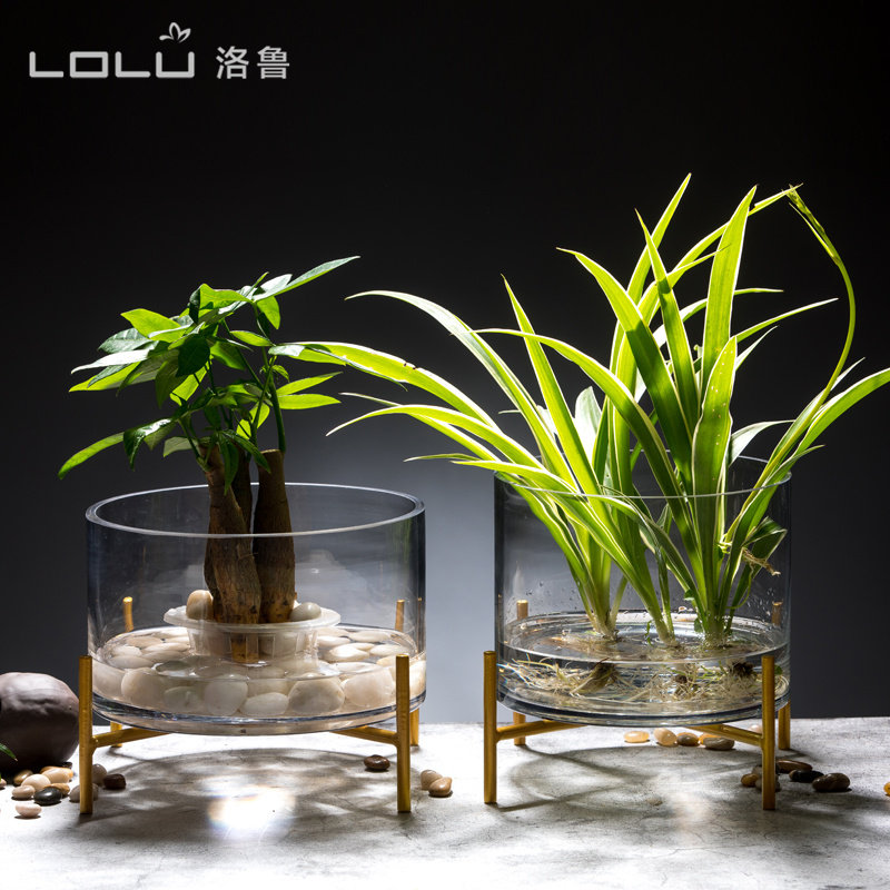 水培植物玻璃花瓶圆形玻璃鱼缸富贵竹绿萝简约水培花盆创意鱼缸,淘宝优惠券,粉丝福利购,淘宝优惠卷