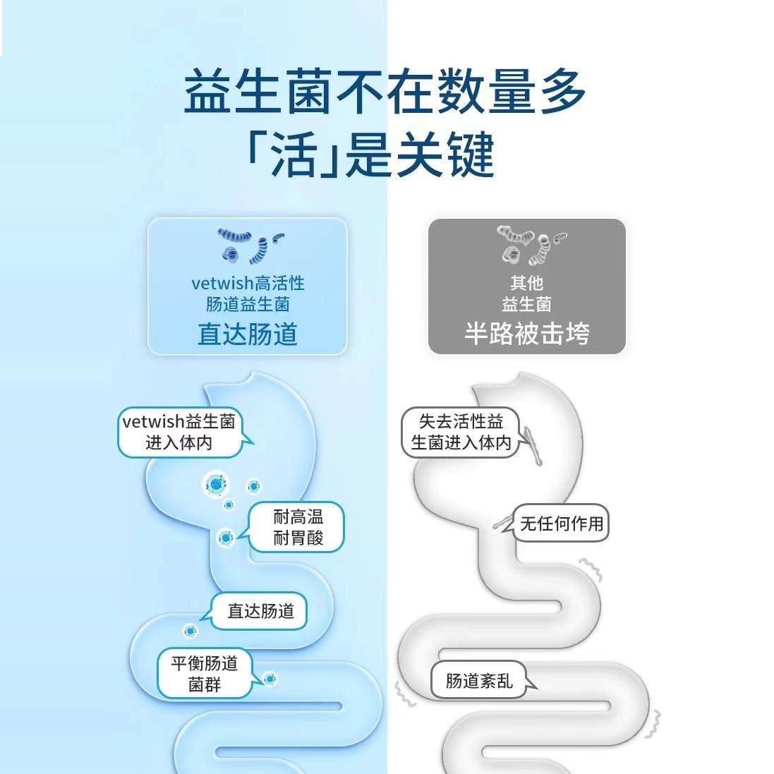 Vetwish唯特仕益生菌调理肠胃改善软便布拉迪酵母猫咪狗狗犬猫用,淘宝优惠券,粉丝福利购,淘宝优惠卷