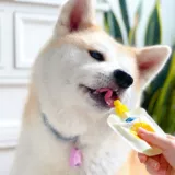 Океанская звезда собака сыр замороженный кот Внзал замороженные замороженные питания питания, увлажняющие головы йогурта, полезные закуски для домашних животных