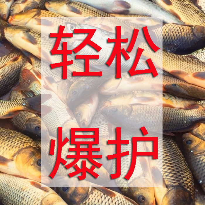 综合5巨物鱼饵小药快速攻击窝料钓鱼小药中药饵黑坑酒米阿魏麝香 - 图2