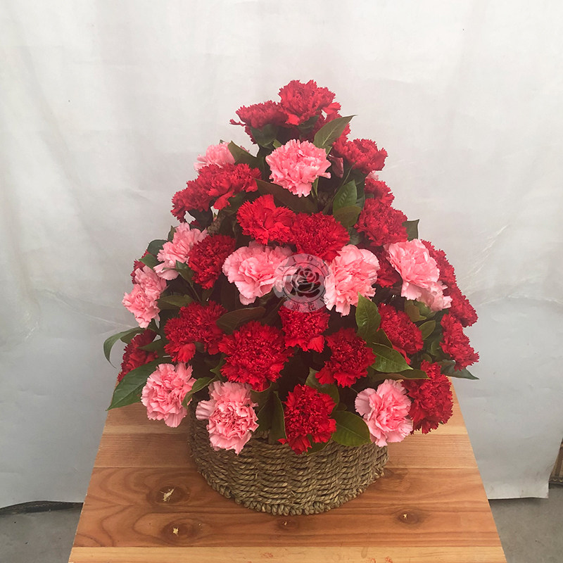 三八节康乃馨小花篮送长辈妈妈生日感谢老师礼物北京同城鲜花速递