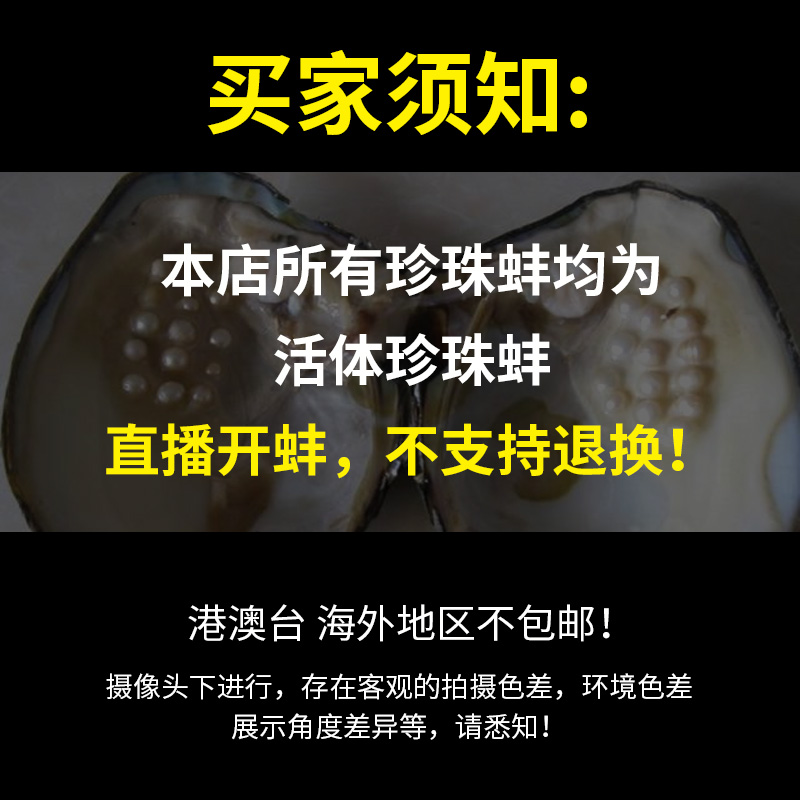 天然淡水珍珠蚌壳活体河蚌多珠自己开蚌取珍珠鲜活直播间 - 图2