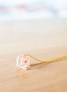 宠物纪念品ins风项链存骨灰毛发