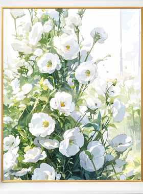 花卉白玉兰画画diy数字油画填充填色2024新款丙烯手工手绘油彩画