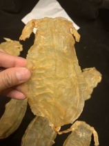 Its dedicated to the super-connected.