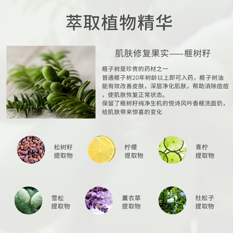 悦诗风吟香榧清痘清洁泡沫洗面奶 薇美铺海外面部护理套装