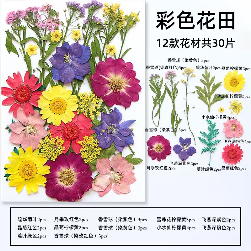 压花干花diy材料包真花植物标本押花树叶手工滴胶团扇贺卡书签-图3