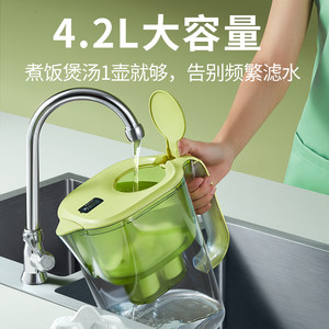 倍世BWT净水壶家用净水器厨房自来水过滤器进口滤芯4.2L过滤水壶