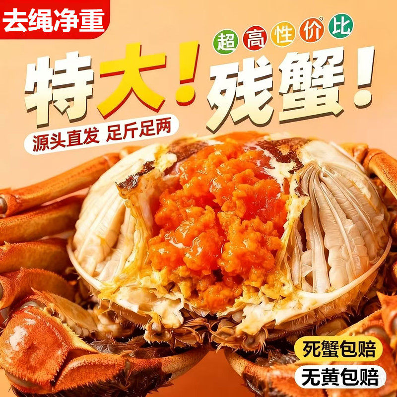 【去绳净重】江苏精品缺腿特大残蟹固城湖大闸蟹鲜活现货公母螃蟹,淘宝优惠券,粉丝福利购,淘宝优惠卷
