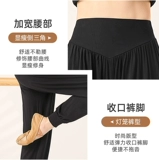 Спортивная одежда, фонарь, танцующие современные штаны, свободный крой