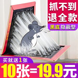 标兵粘鼠板强力贴板大老鼠沾鼠捕鼠神器强力胶粘家用老鼠粘一窝端