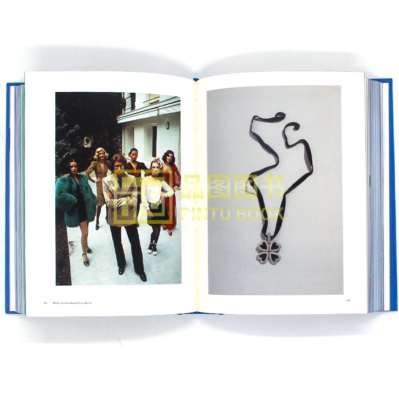 品图图书专营店预售 包邮 Yves Saint Laurent Accessories 伊夫·圣罗兰配饰 YSL配饰模特走秀照片摄影 了解时尚进程品牌历史 首饰设计 英文原版2