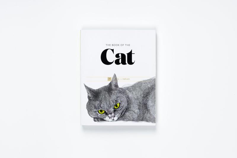 现货英文正版 The Book of the Cat Cats in Art  猫之书猫的艺术 原版进口 猫插图艺术绘画作品集画册手绘本插画作品集临摹画册 - 图0