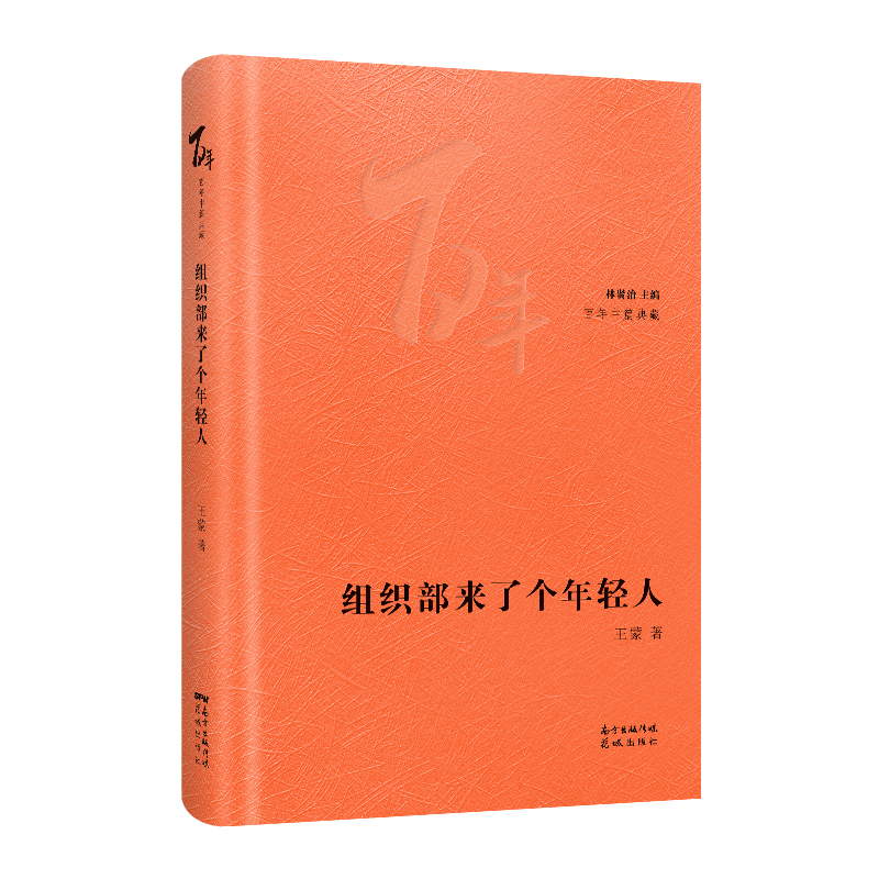 组织部来了个年轻人王蒙著林贤治主编百年中篇典藏经典小说集文学花城出版社正版书籍-图3