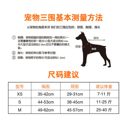 狗狗牵引绳自动伸缩5米背心式胸背带狗链子小型犬泰迪博美遛狗绳 - 图3