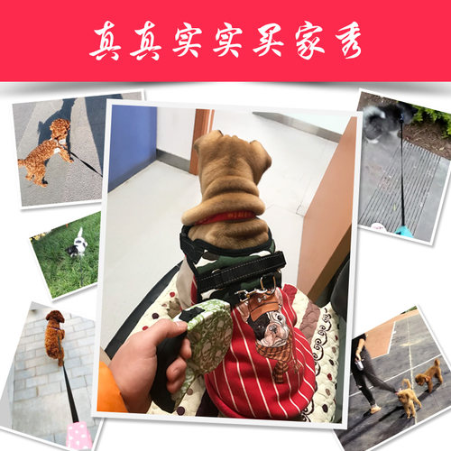 狗狗牵引绳自动伸缩5米背心式胸背带狗链子小型犬泰迪博美遛狗绳 - 图2