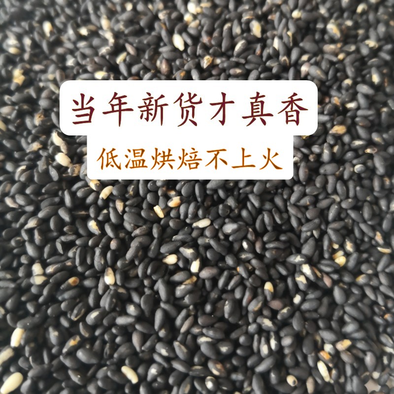 纯熟黑芝麻粉现磨无添加糊烘焙商用五谷磨坊膳食纤维营养即食袋装 - 图0