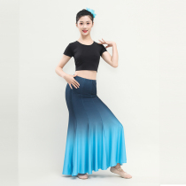 Hot pin new Dai ethnic dance performance Costume Women Practice Dress National Performance Serve Fish Tail Half Body Dress Peacock Dance