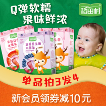 Rice Paddy Village Probiotic Baby Fruit Bar Children Fruits Stick Fruits Cortex Moutan Snack 190g Independent packaging