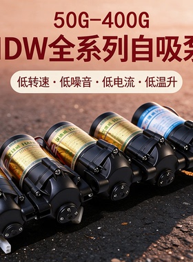 汉德威自吸泵增压泵抽水泵电机